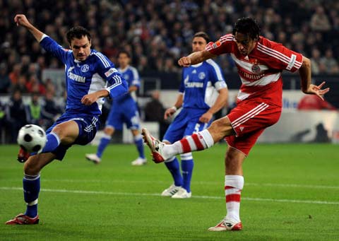 或许能揭示 或许能揭示